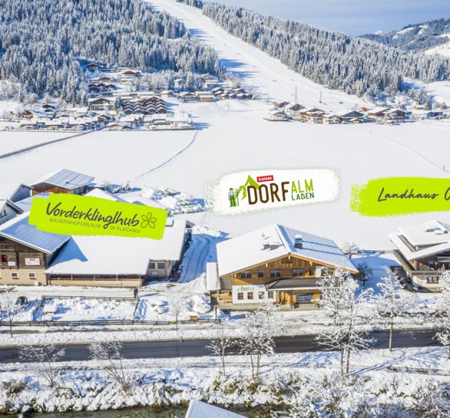 Lageplan Vorderklinglhub, Landhaus Olga und Dorfalm Flachau © Christian Fischbacher