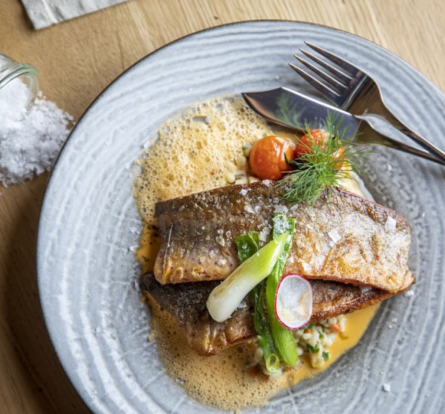 Frische Regenbogenforelle