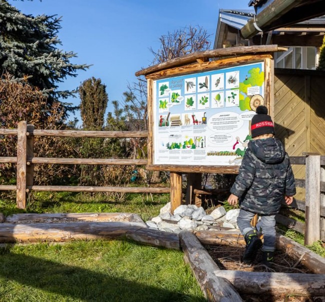 Um Bäume und Wälder geht's auch