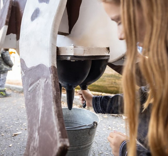 Hier kannst du dein Geschick beim Kühe melken zeigen