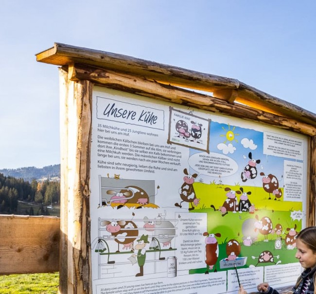 Interessante Infotafeln erklären Wichtiges rund um den Bauernhof. Wer genau liest, kann die Quizfragen sicher ganz leicht beantworten...
